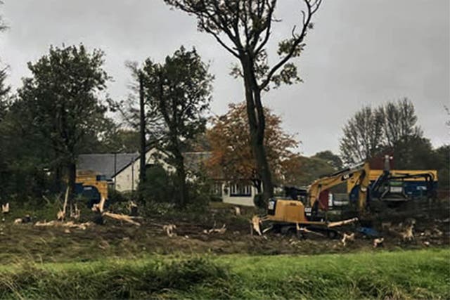 <p>Trees are cut down outside The Osprey in East Kilbride </p>