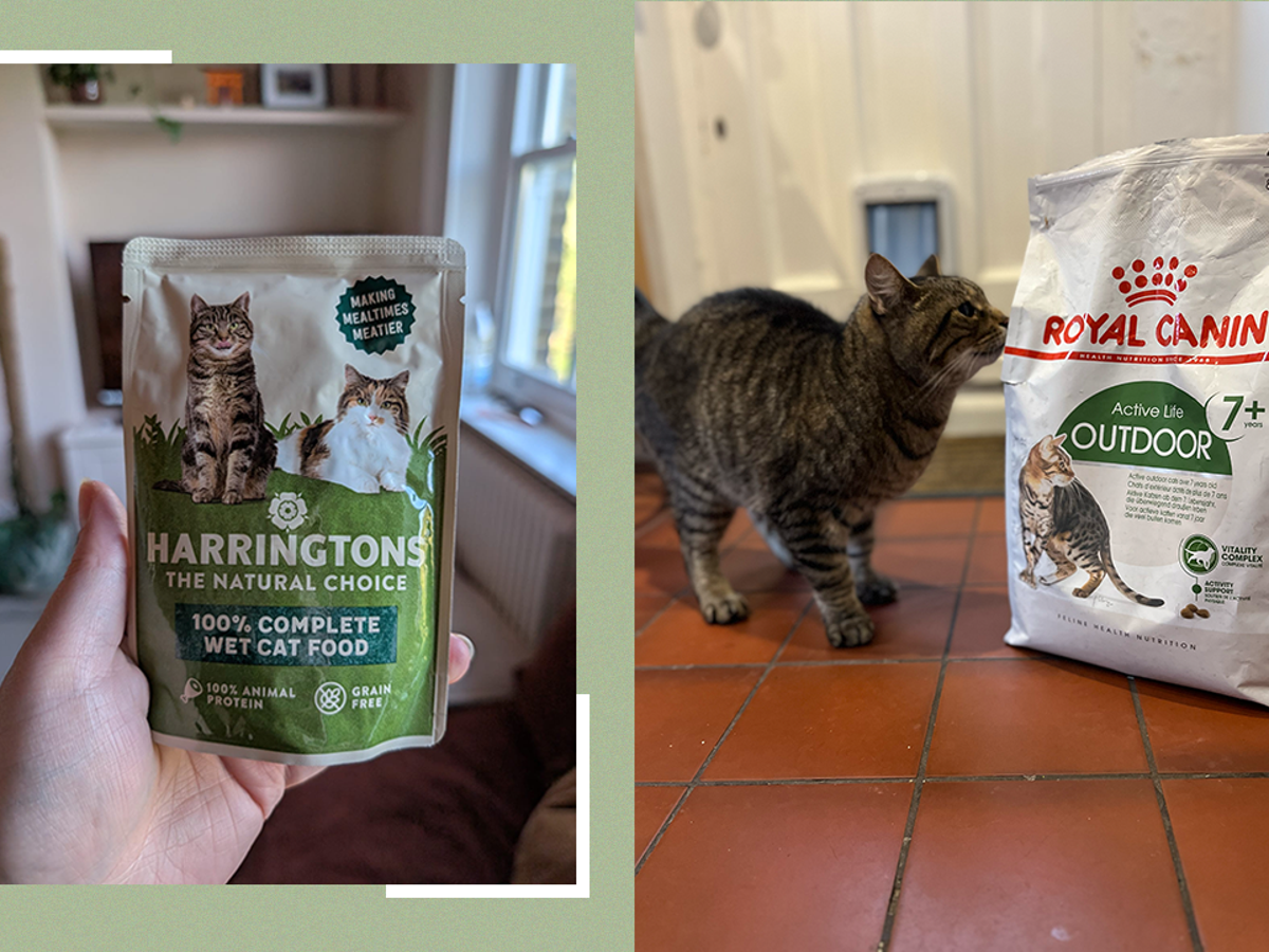 Best cat foods 2025, reviewed by pet owners | The Independent