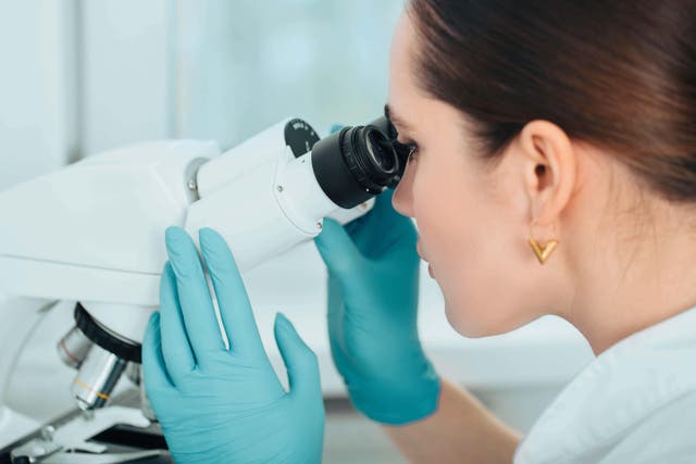 <p>The AI technology interprets MRI scans to quickly identify high-risk lesions</p>