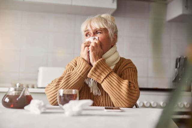 Colds and Covid have similar symptoms that can be hard to distinguish (Alamy/PA)