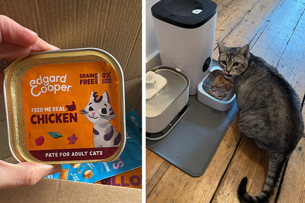 Best cat food IndyBest review Edgard Cooper paté 