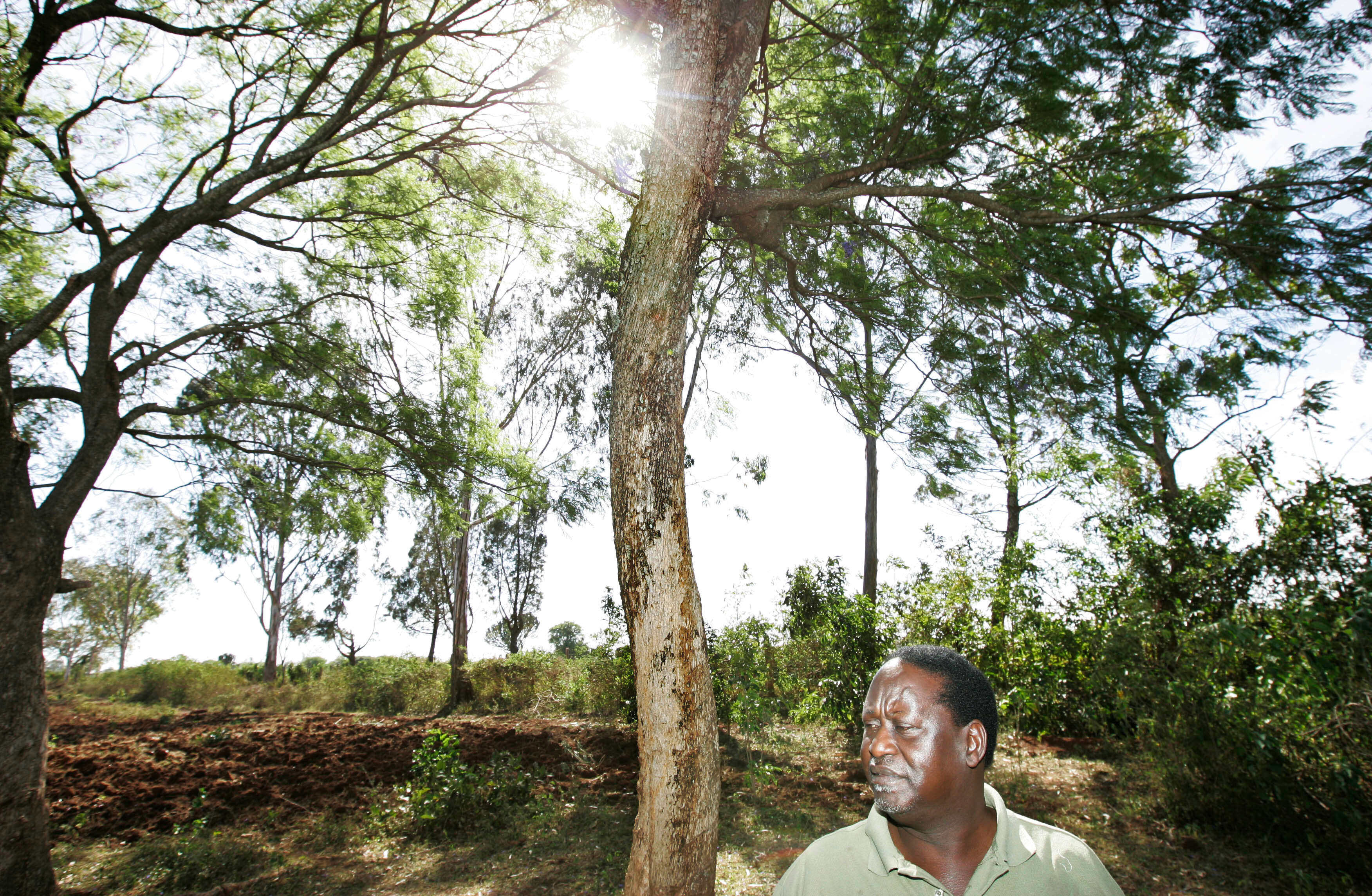 Kenya Obit Raila Odinga Photo Gallery