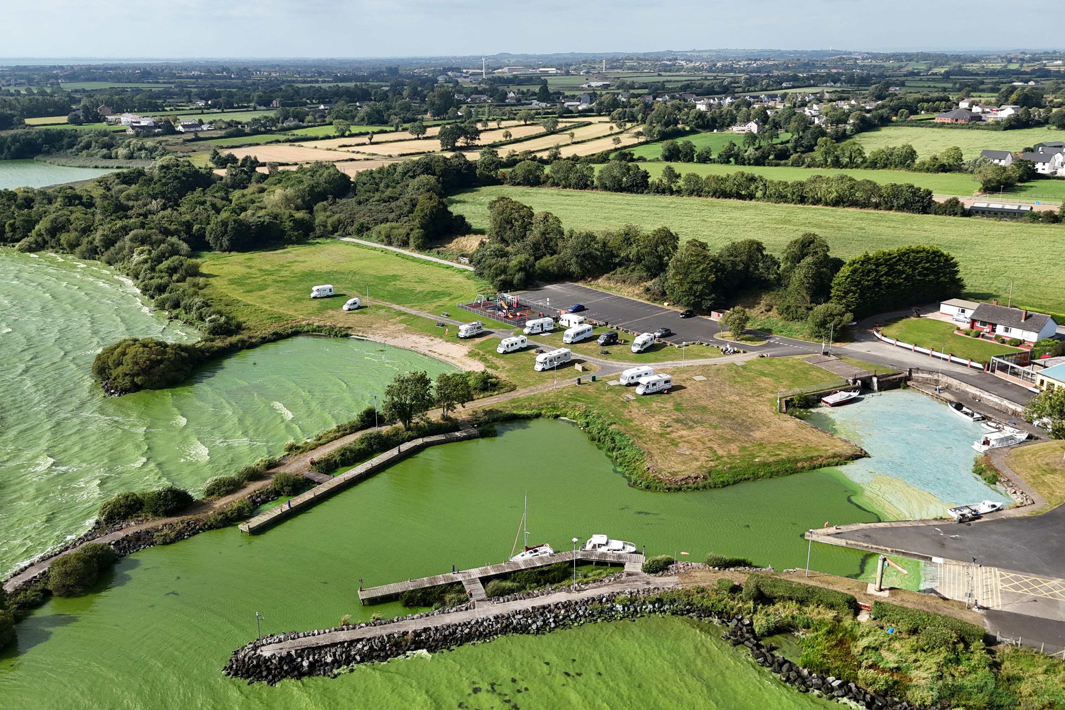 Lough Neagh has been blighted by blue-green algae for the third summer in a row (