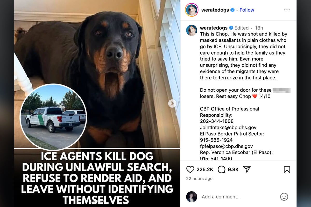 Beloved social account WeRateDogs leaves wholesome content behind to attack immigration officials after dog shot Beloved social account WeRateDogs leaves wholesome content behind to attack immigration officials after dog shot