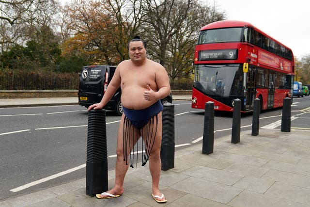 <p>Sumo wrestlers have been enjoying the London sights ahead of the competition </p>