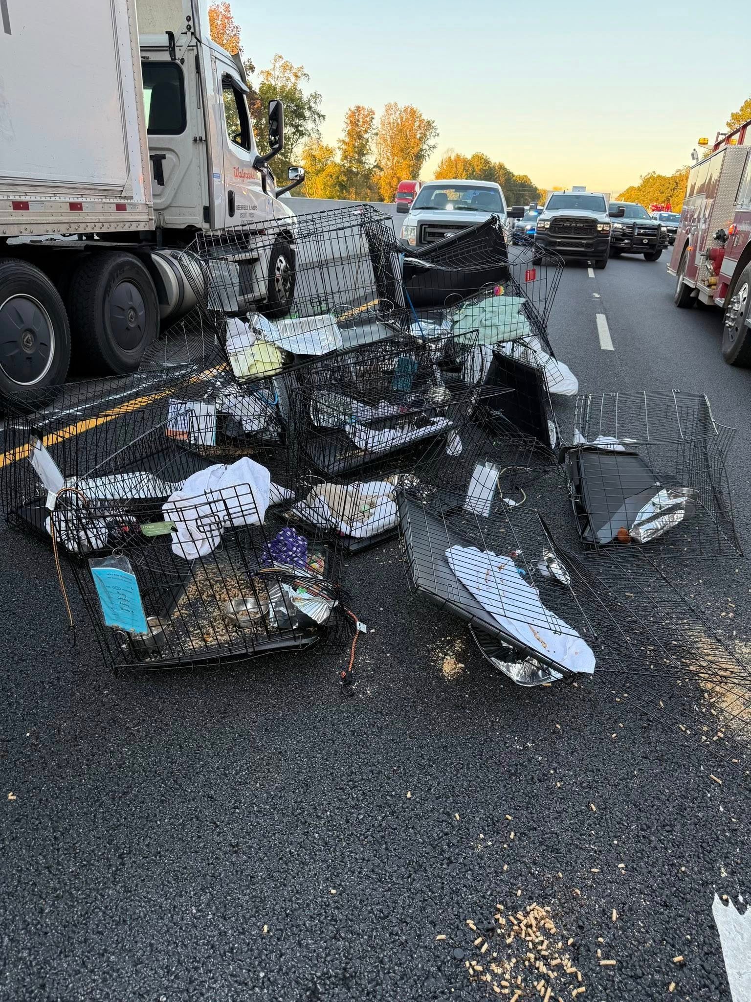 The group was taking 37 cats to a shelter in Vermont, and some of the cats fled after the crash. Two were still missing as of Tuesday