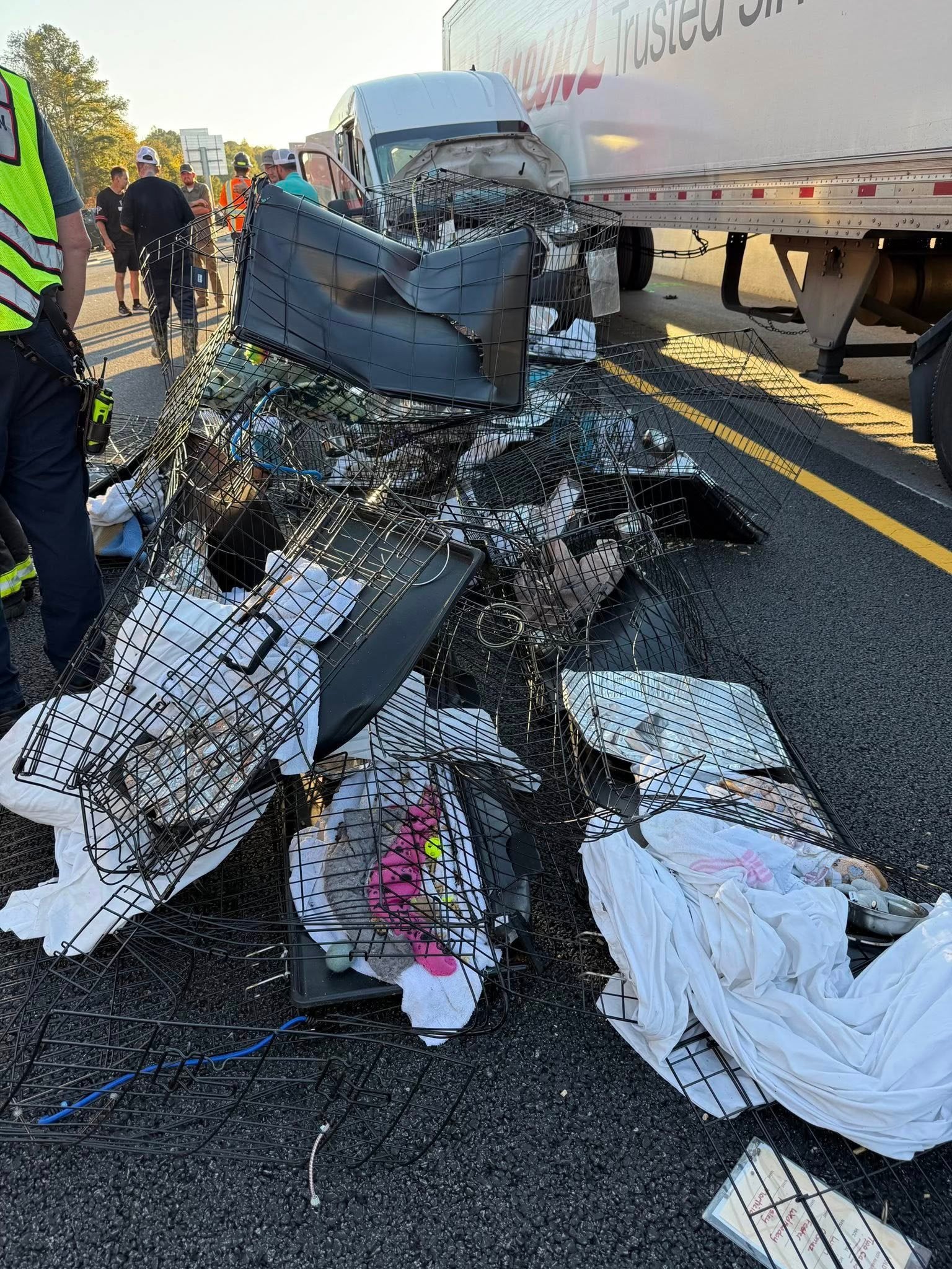 One of the vehicles involved was another van carrying 37 cats to a rescue shelter that up-ended, spilling the animals into the road and scattering them