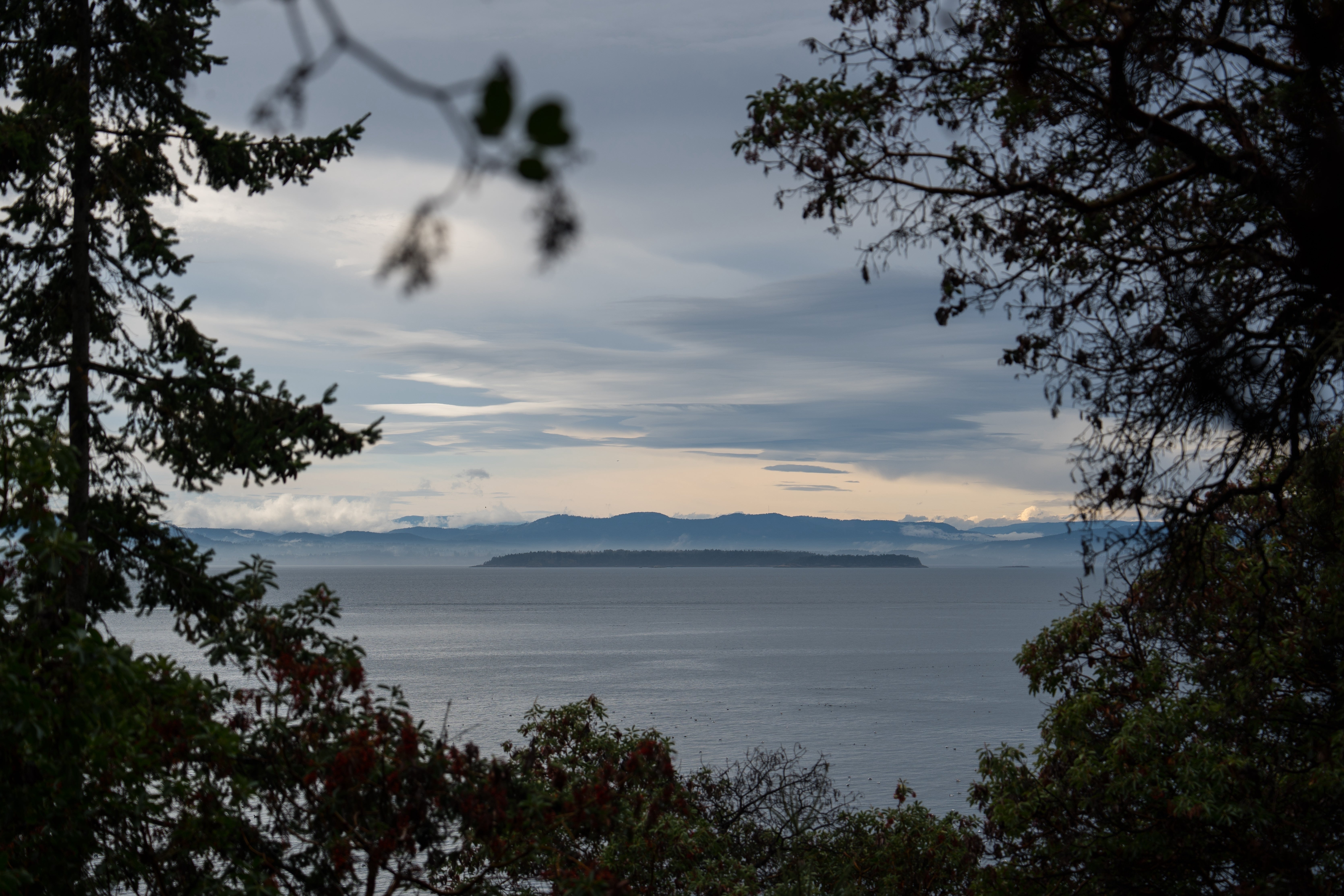 Das Salish Sea, die Heimat von etwa 75 gefährdeten Southern Resident Orcas, ist am Freitag von San Juan Island, Washington, aus sichtbar.
