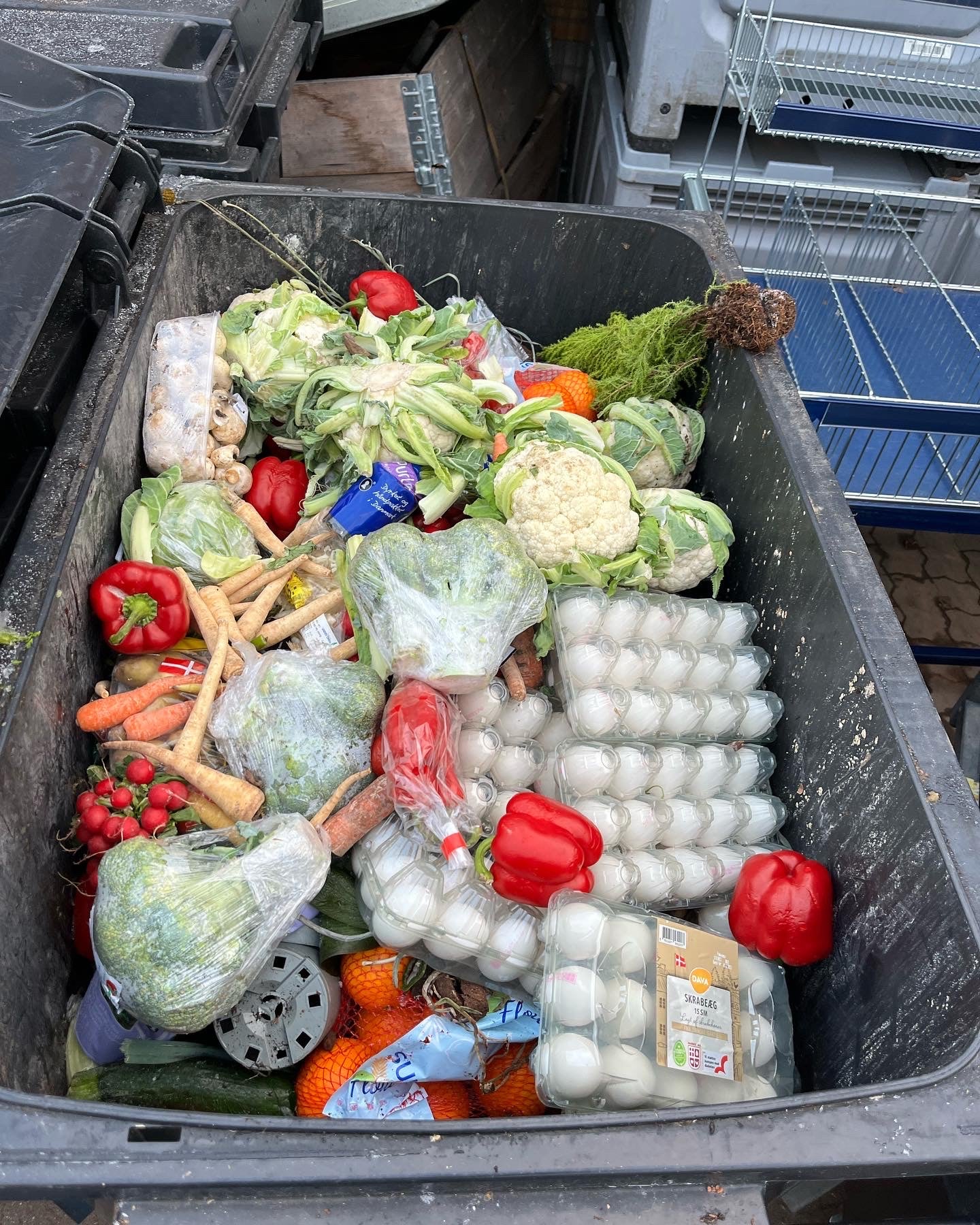 A typical find for Lenka when she goes dumpster diving – as shown on her Instagram account dumpsterdivingdivaa