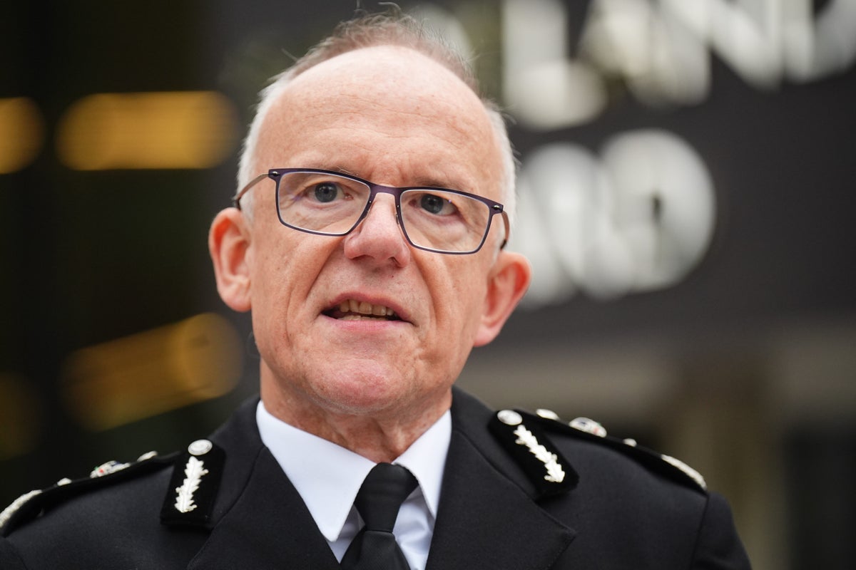 Palestine Action cases placing ‘big burden’ on counter terror police, Met chief admits