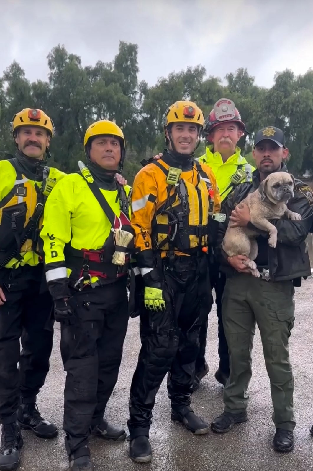 Dog Rescued-California Flooding