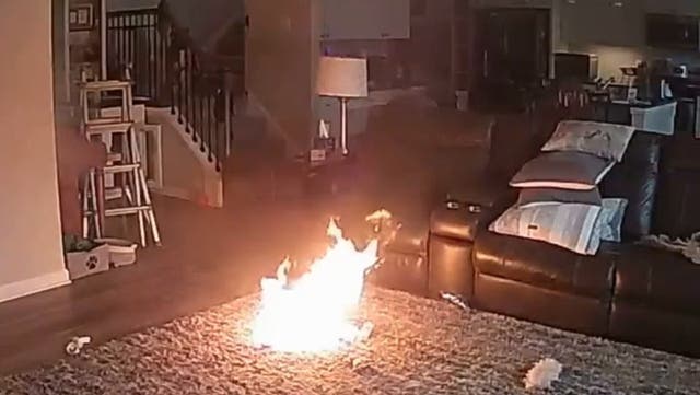 <p>Dog starts house fire after chewing on lithium battery.</p>