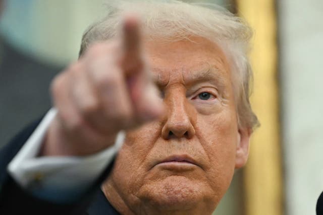 <p>The Trump administration is reportedly preparing to install ‘allies’ at the criminal investigative division of the IRS to target ‘major Democratic donors.’</p>