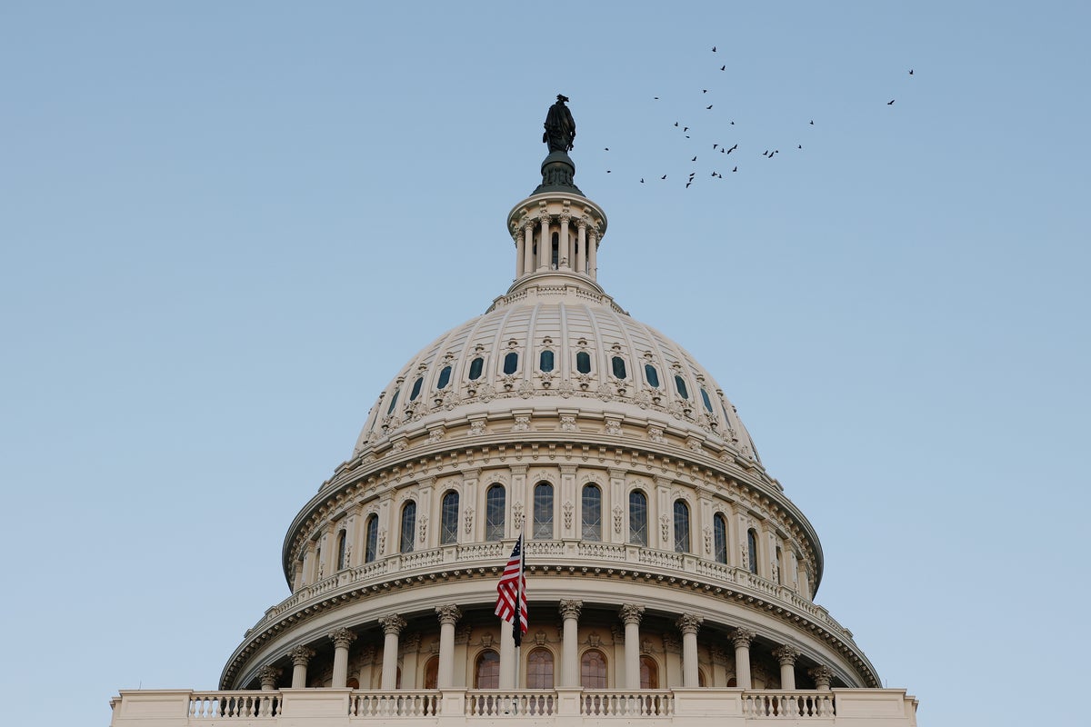 Capitol police called after swastika flag seen on staffer’s wall during virtual call