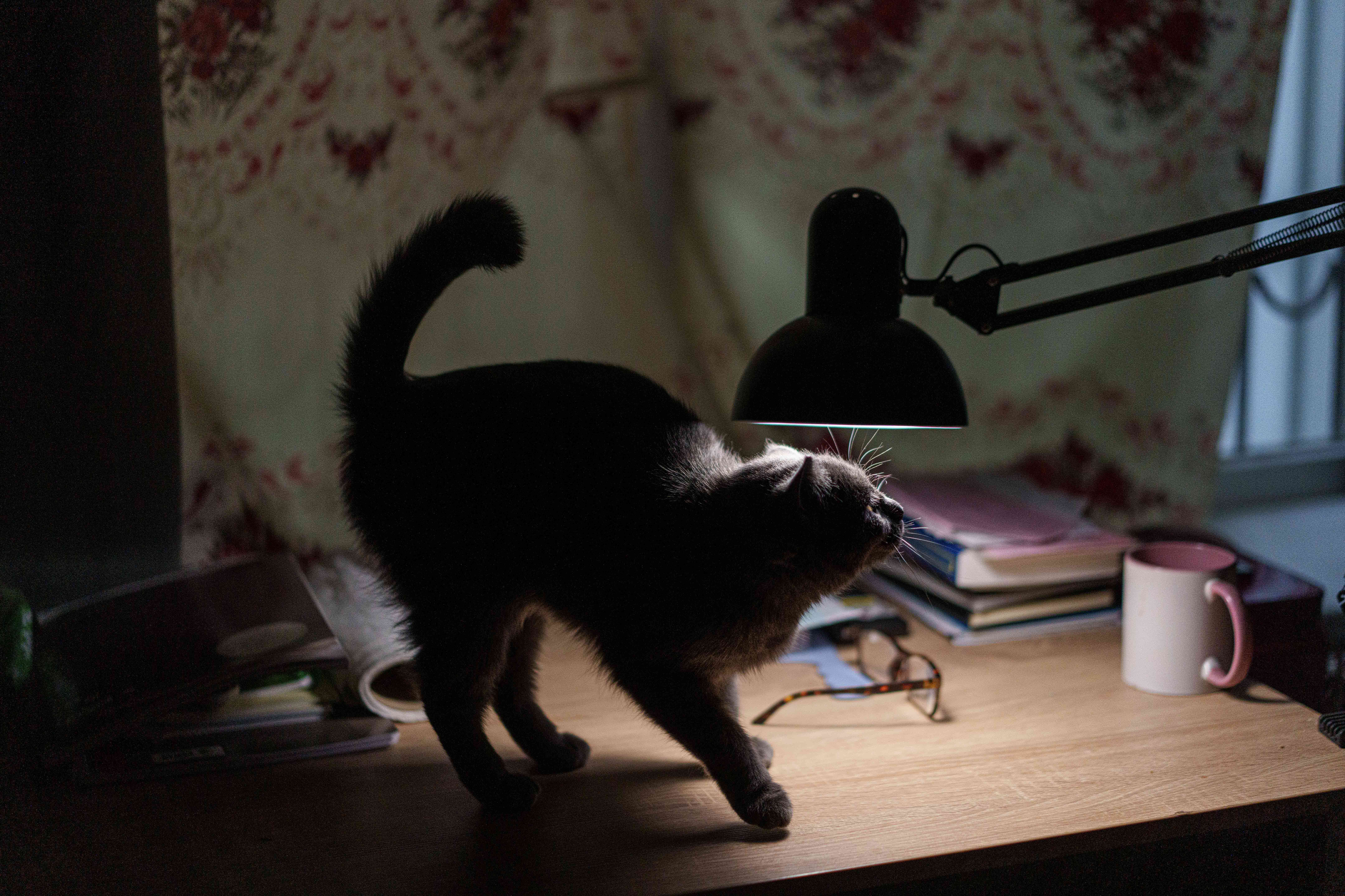 Russia Ukraine War Housing Crisis