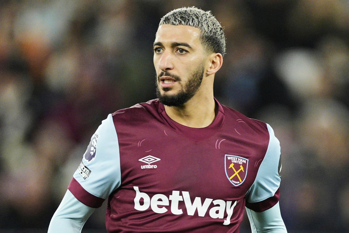 Former West Ham player Said Benrahma fined after his XL bully dogs attack golden retriever thumbnail
