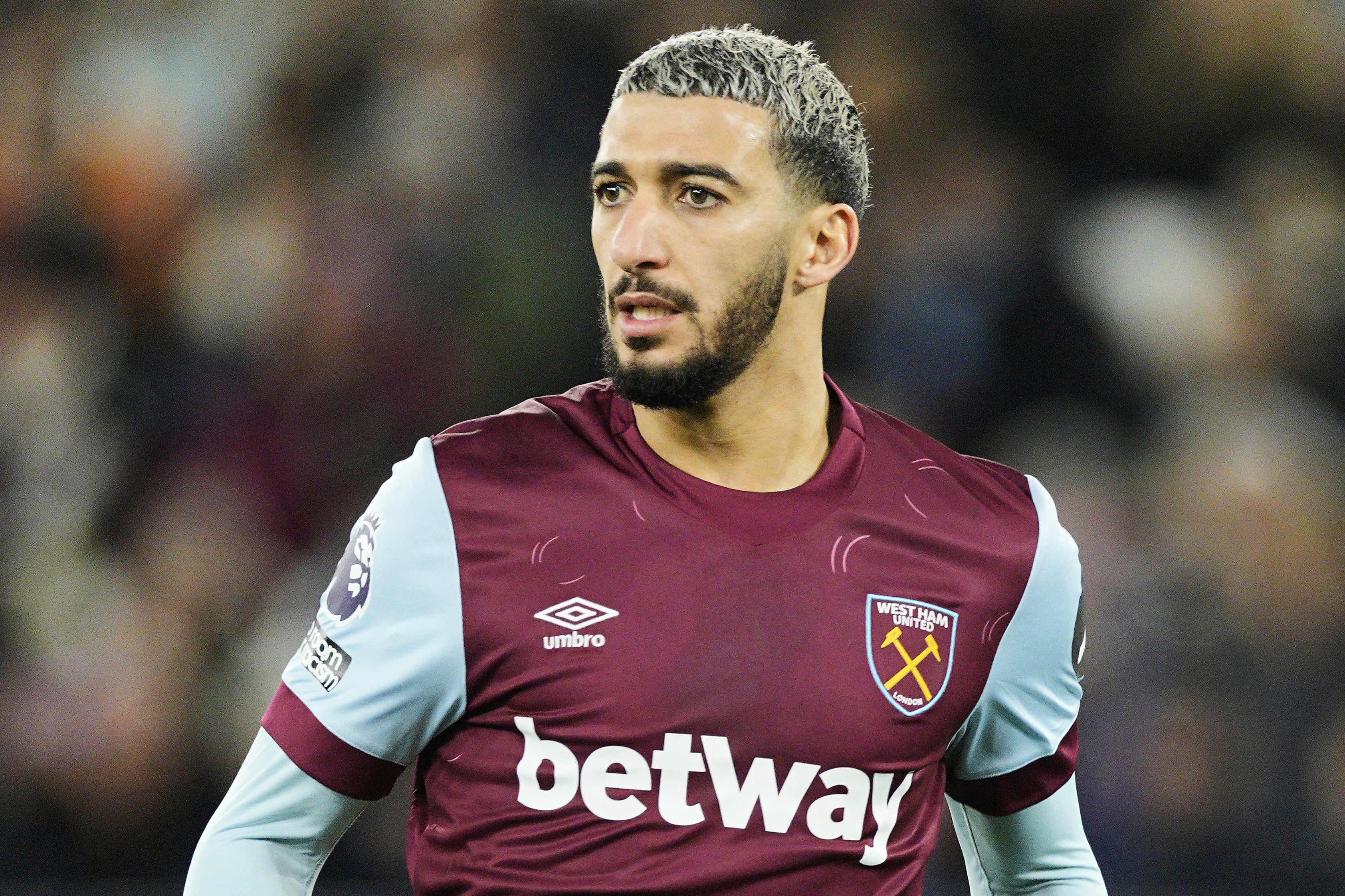 <p>BENRAHMA PERROS</p>