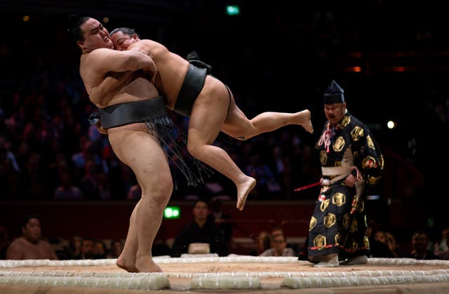 <p>Kinbozan lifts Midorifuji during day one of The Grand Sumo Tournament at Royal Albert Hall</p>