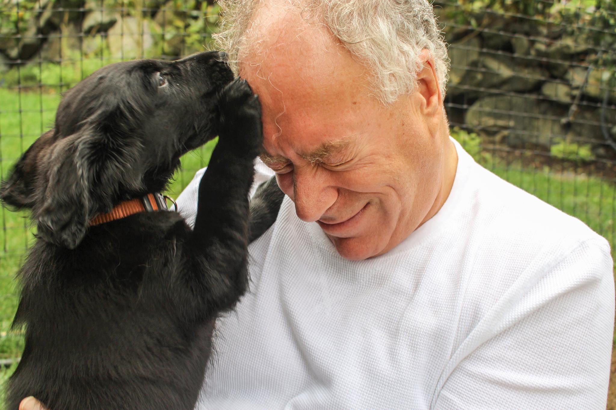 <p>Dan Fine is making the smallest moments count</p>