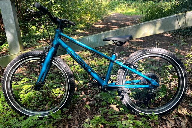 <p>From easy-to-use first bikes for young children to mountain bikes designed for fearless adventurers, we’ve found options to suit everyone</p>