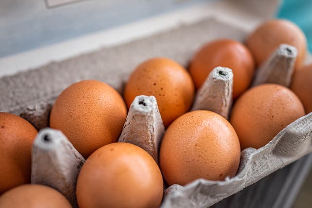 <p>Eggs in a carton</p>
