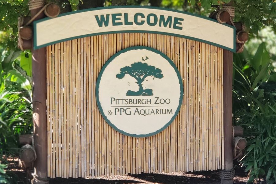 <p>Pittsburgh Zoo officials said Noah Thomas’ alleged stunt of entering an elephant enclosure, endangered himself, visitors and the animal.</p>