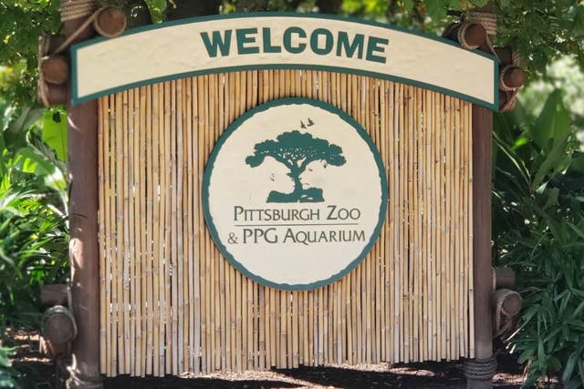 <p>Pittsburgh Zoo officials said Noah Thomas’ alleged stunt of entering an elephant enclosure, endangered himself, visitors and the animal.</p>