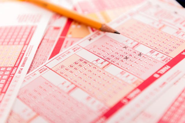 <p>The odds of winning the lottery are one in 300 million according to a leading mathematician </p>