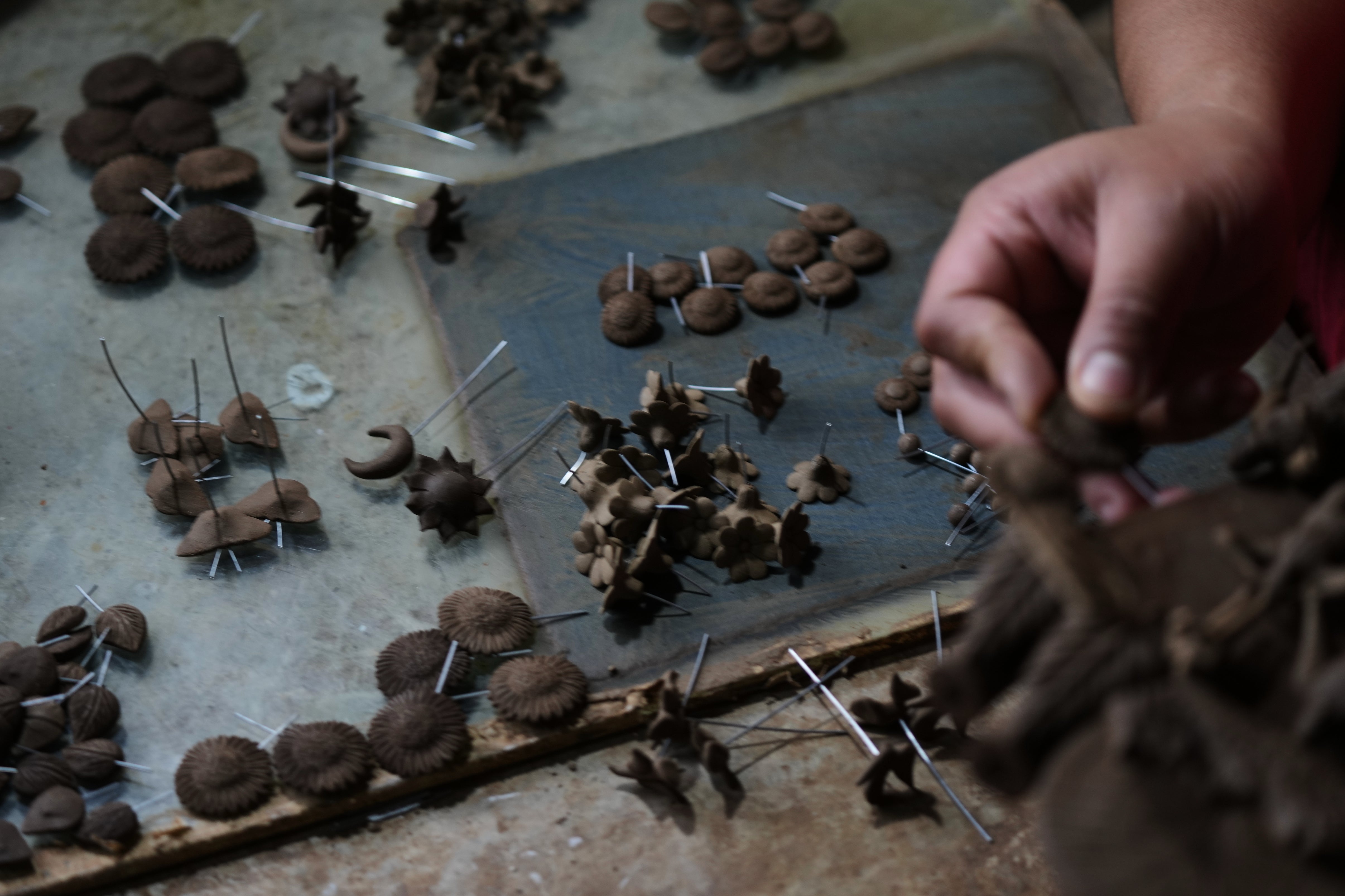 Mexico Trees of Life
