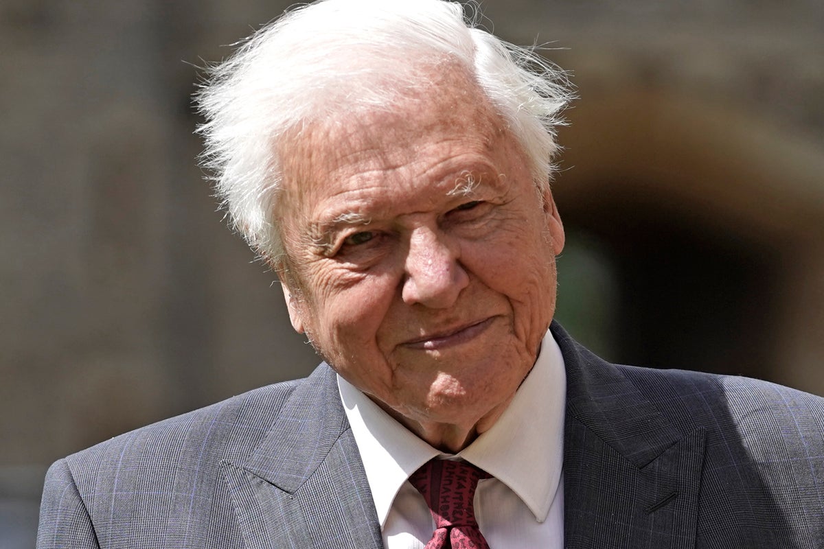 Sir David Attenborough’s 100th birthday to be marked by star-studded live BBC event