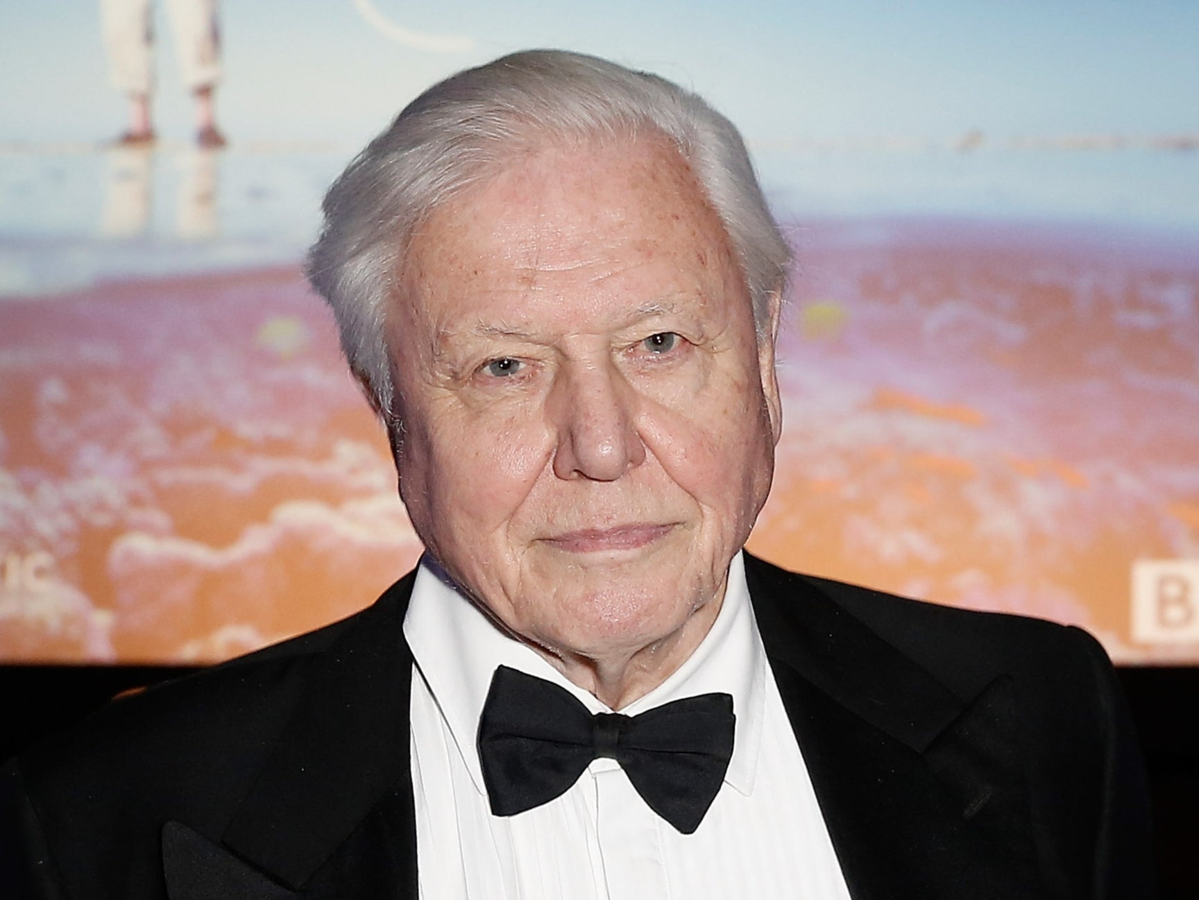 <p>David Attenborough</p>