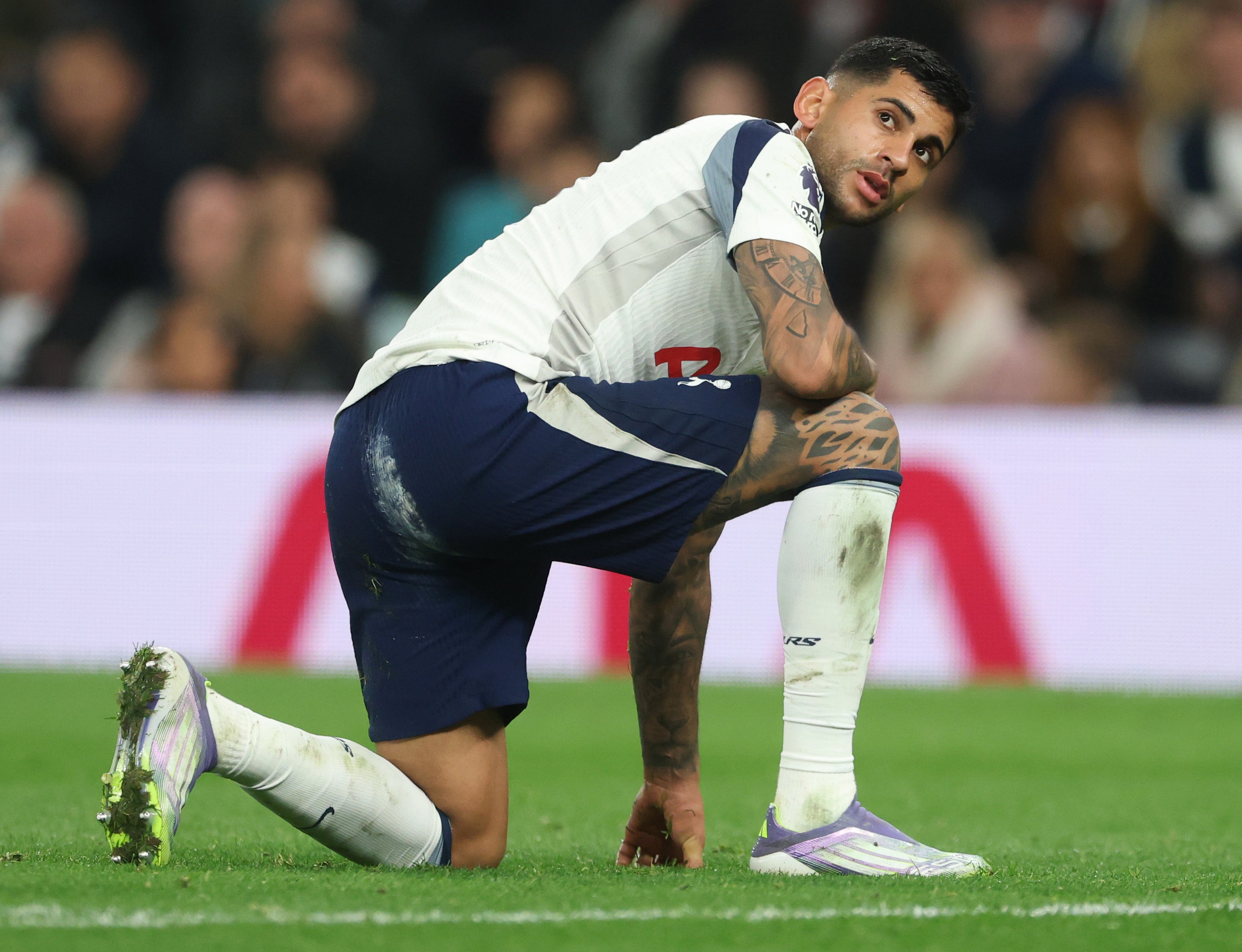 Injury News: Thomas Frank has several decisions to make as Tottenham gear up to face Monaco.