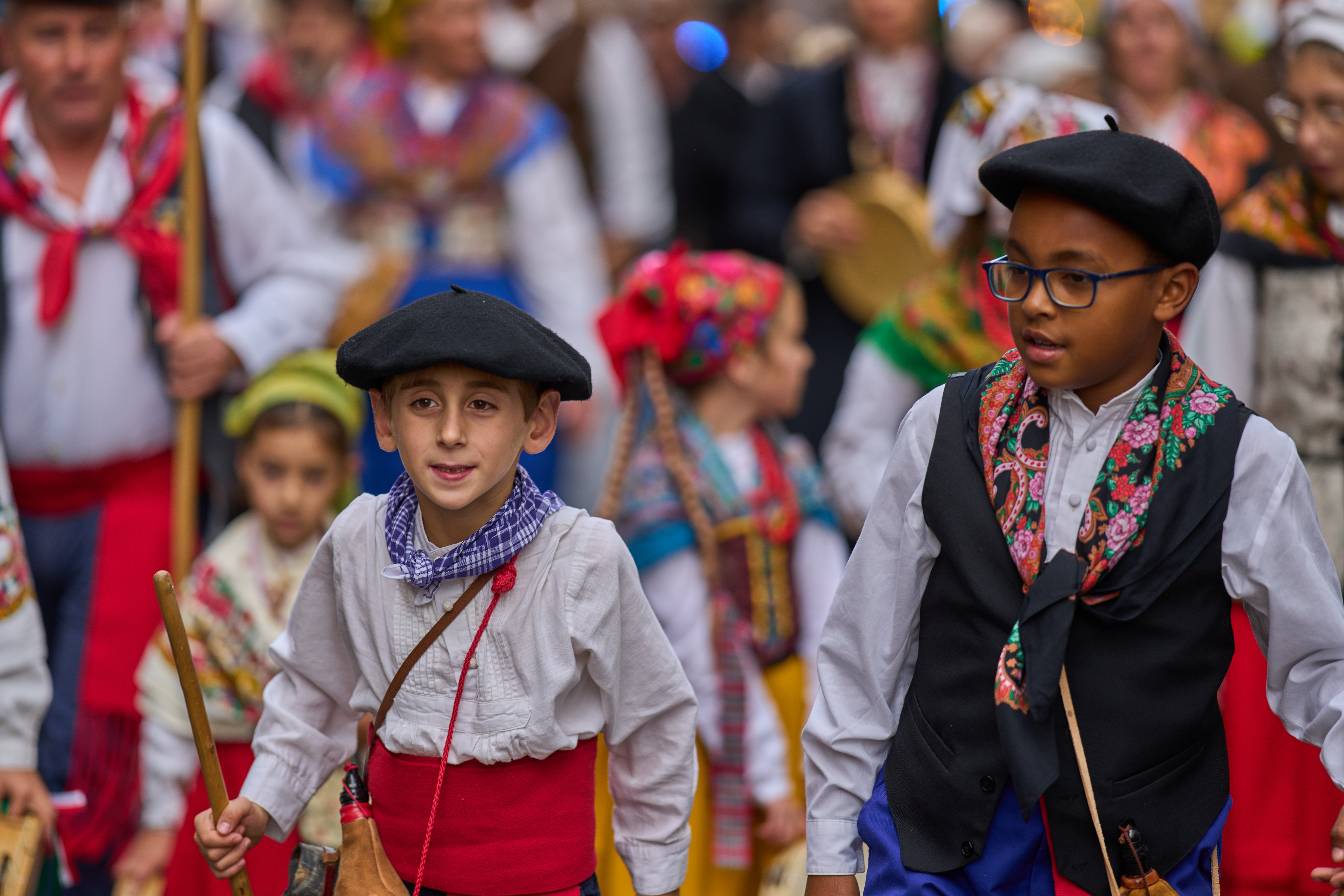 Spain Sheep Crossing