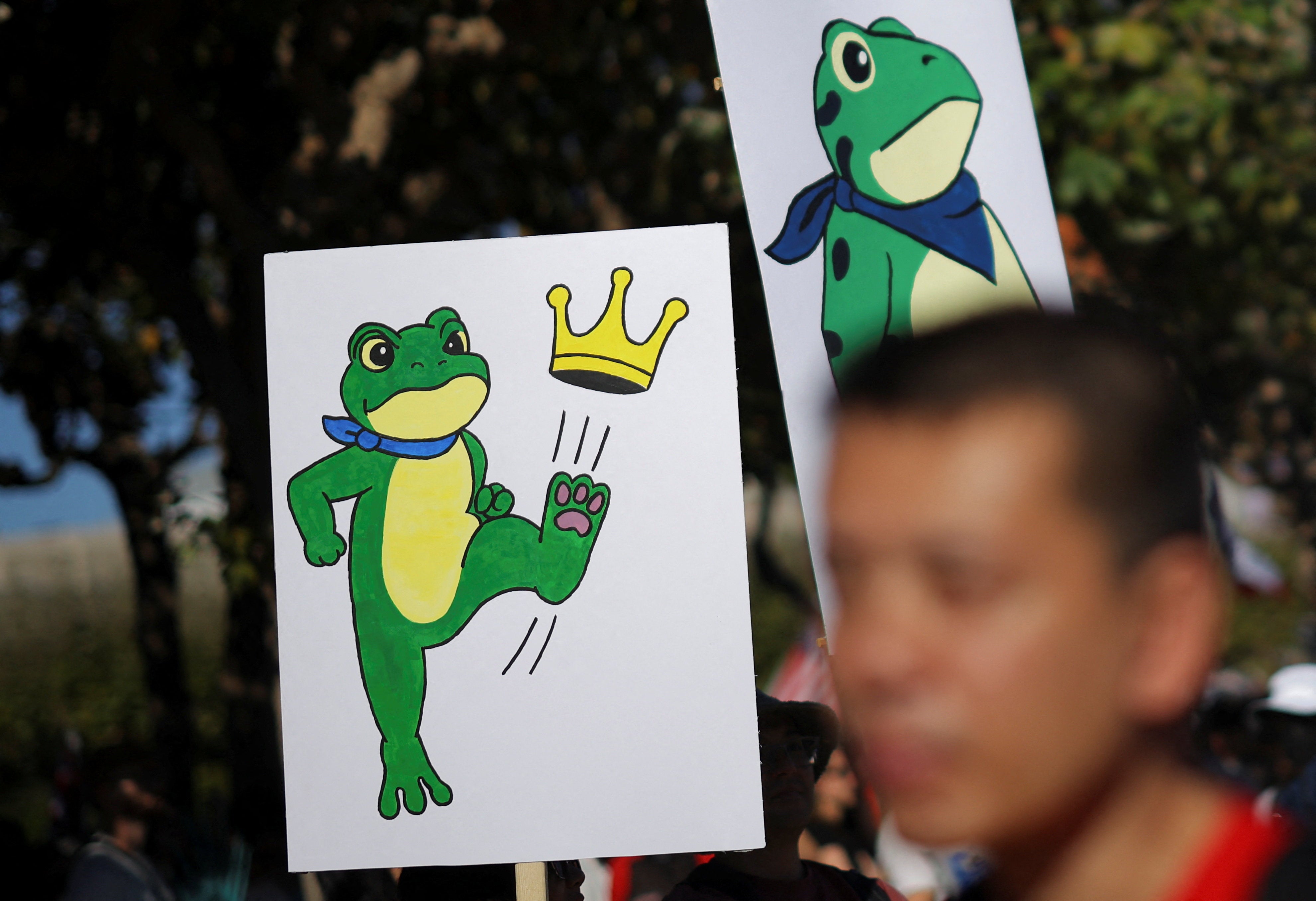 The amphibian became a symbol of resistance to Trump’s government after a protestor was sprayed with a chemical liquid at a rally