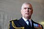 Prince Andrew: Pressure on government to formally strip his titles