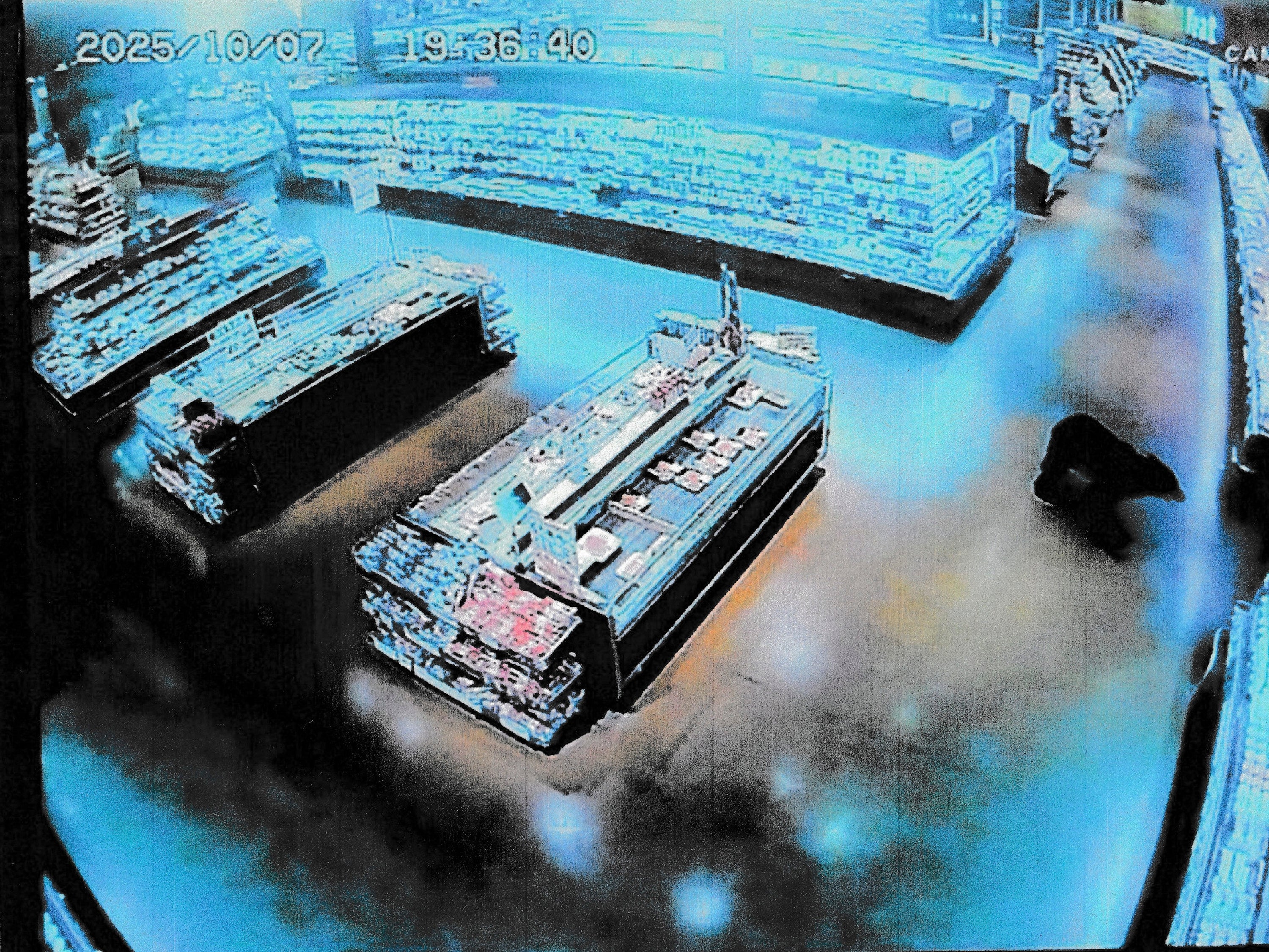 Arquivo. Um urso entrou num supermercado no centro do Japão na noite de 7 de outubro de 2025, ferindo dois homens, no último de uma série de ataques de ursos, disseram as autoridades.