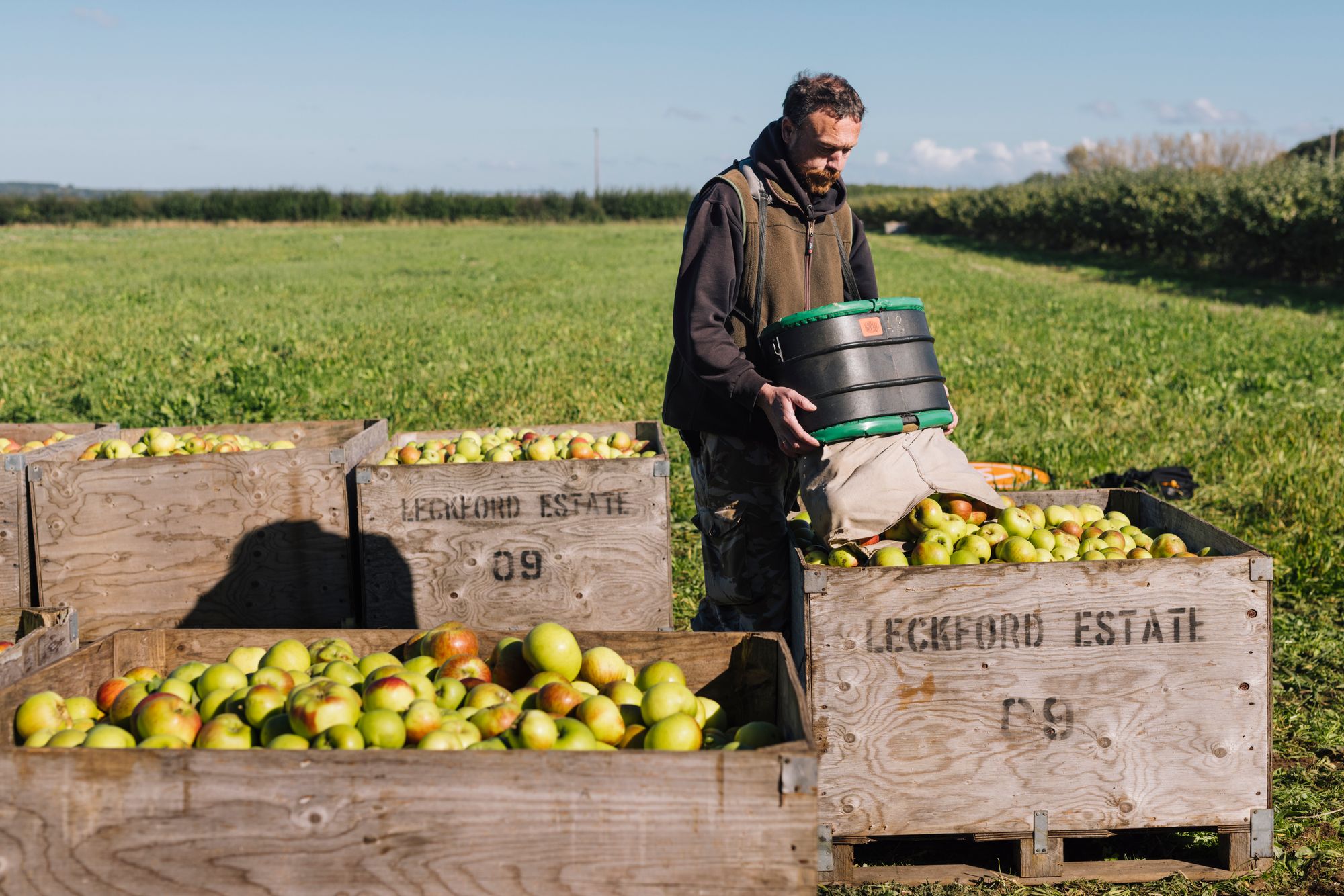 At Leckford, Colin Pratt’s apples flourished – but the pears beside them suffered, a perfect picture of this year’s uneven harvest