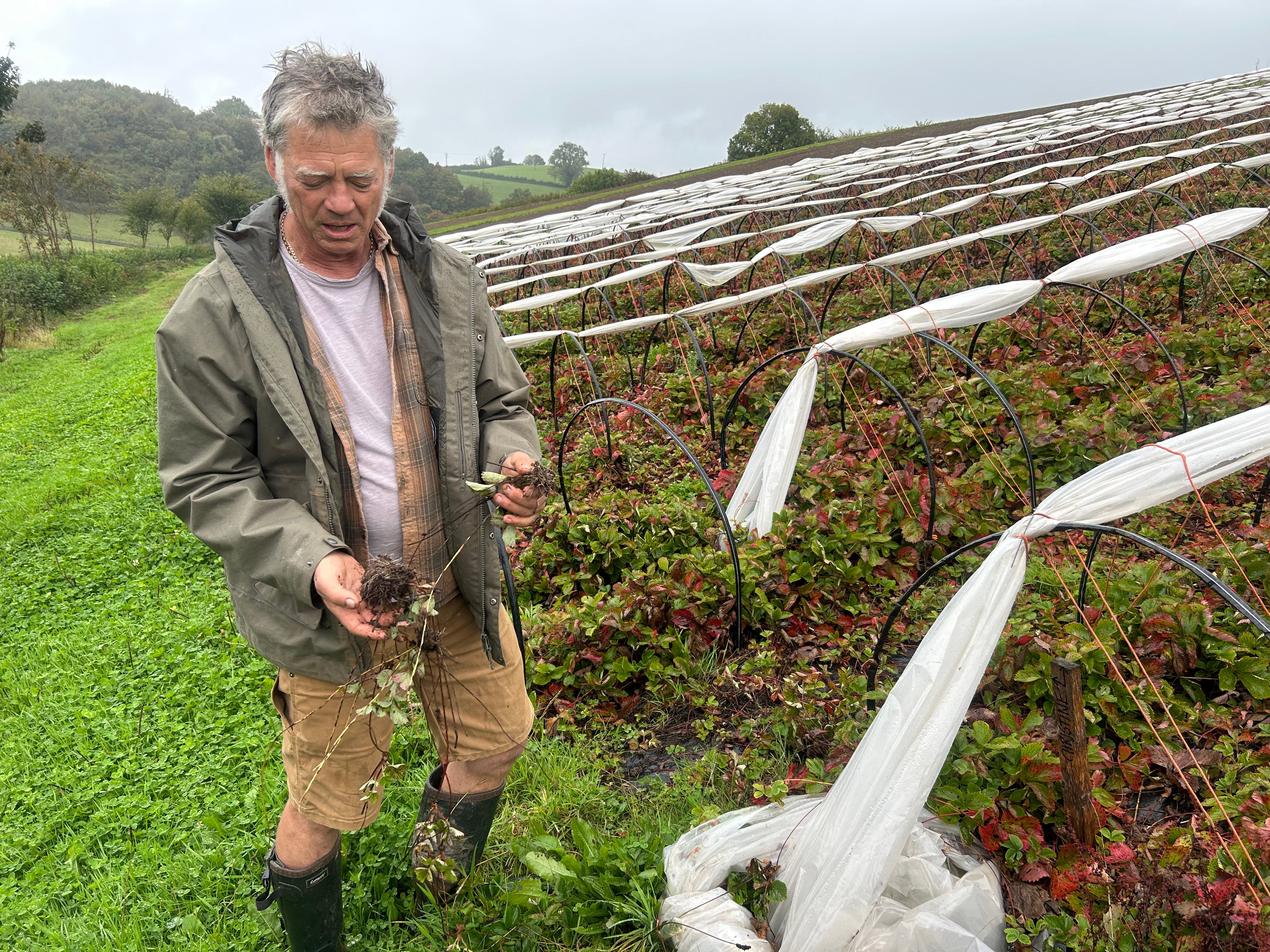 Riverford founder Guy Singh-Watson says even decades of experience can’t prepare farmers for the unpredictability of today’s weather