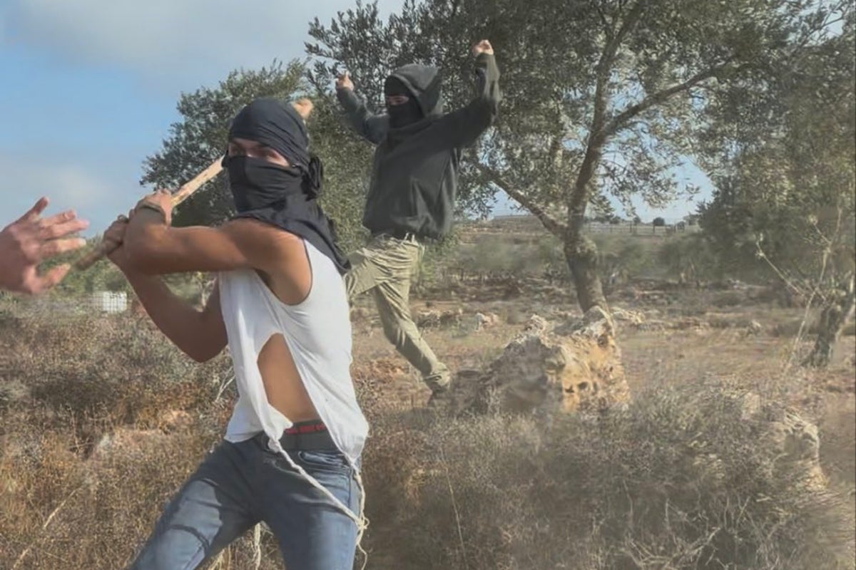 ‘Never seen something so extreme’: Palestinian woman nearly clubbed to death by Jewish settler