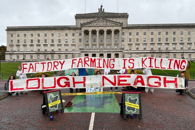 Environmental activists from Friends of the Earth declare a crime scene at Parliament Buildings, Stormont in Belfast over the ongoing crisis at Lough Neagh. (Rebecca Black/PA)