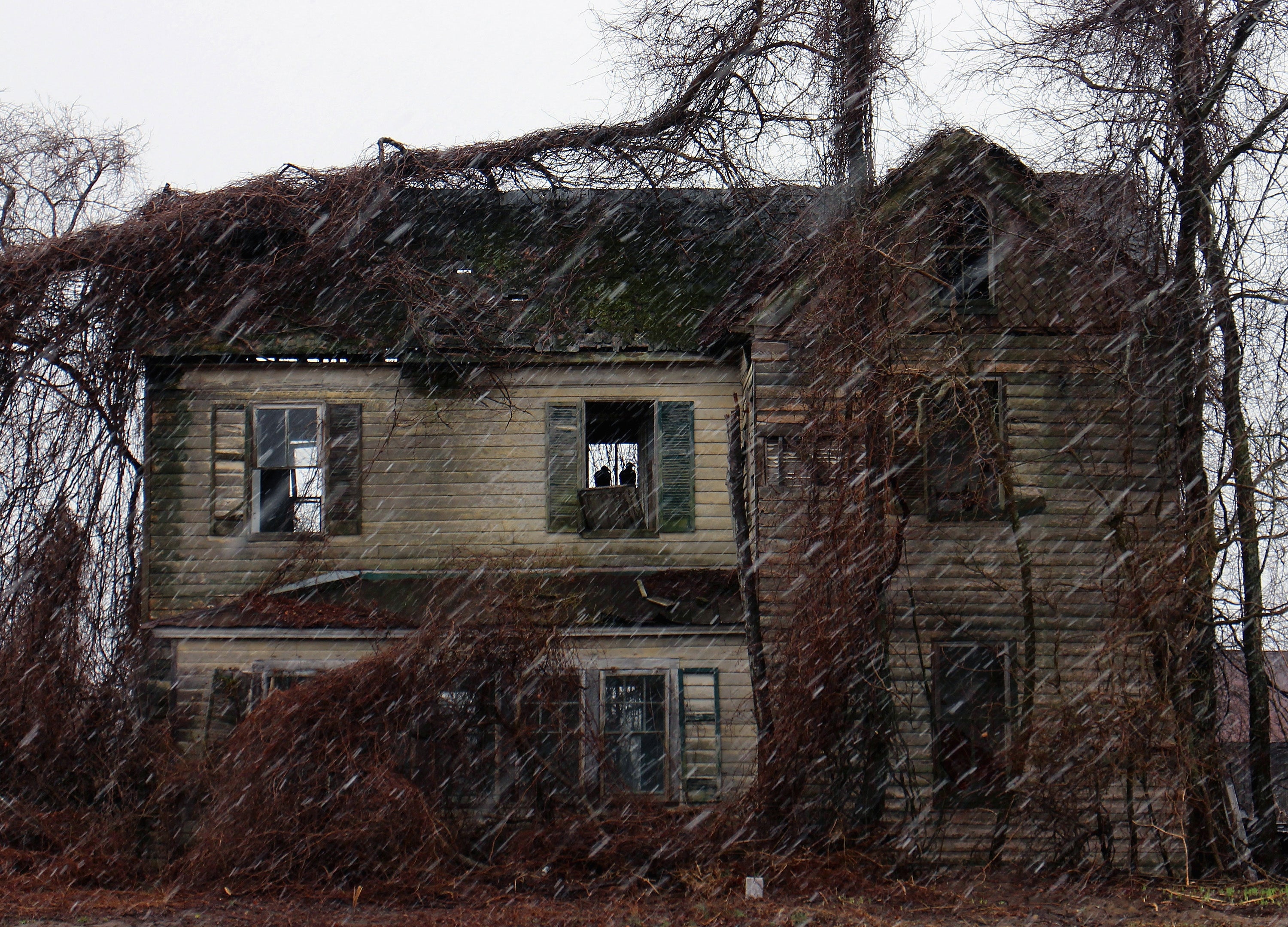 <p>‘Neighbors might say it's haunted, but in reality, it's a house with good bones that's been neglected and needs the right buyer to bring it back to life,’ a senior real estate agent said </p>