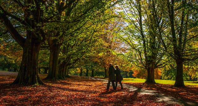 Researchers from Harvard University suggested new physical activity guidelines for older women after conducting the study