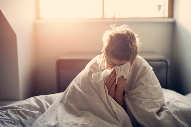 <p>A new study provides a baseline look at the burden of viruses in school settings (file photo)</p>