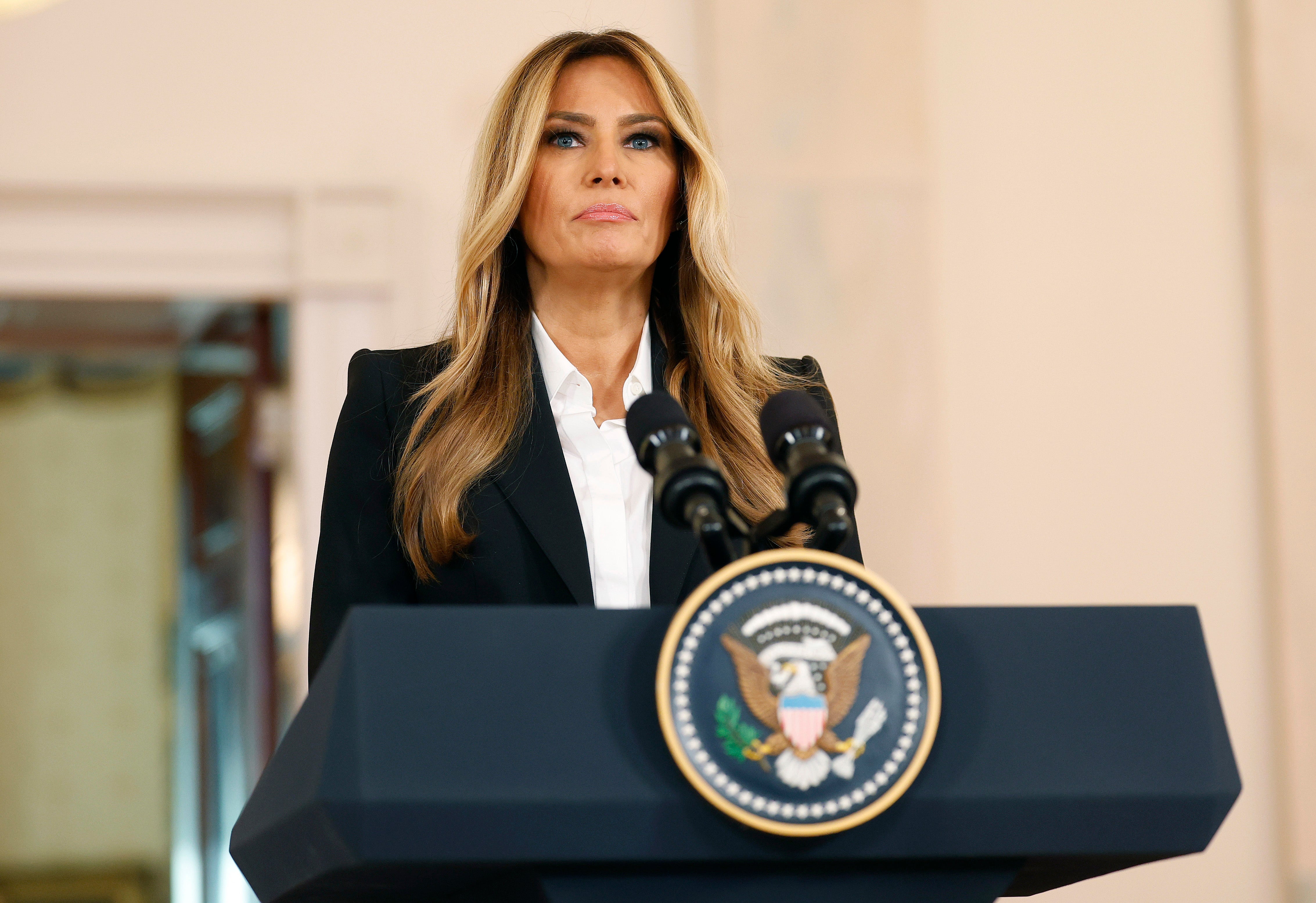 Journalist and author Michael Wolff has filed a lawsuit against First Lady Melania Trump accusing her of shutting down questions relating to her and Jeffrey Epstein
