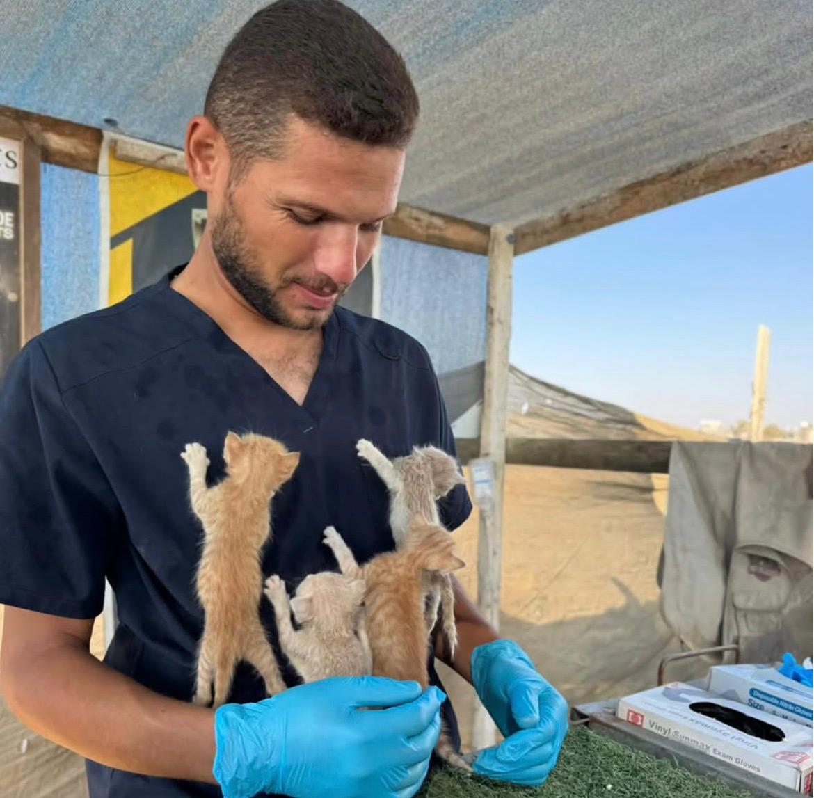 The beloved vet caring for kittens in Gaza