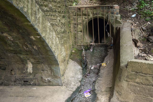 Serious pollution incidents up 60% last year (Alamy/PA)