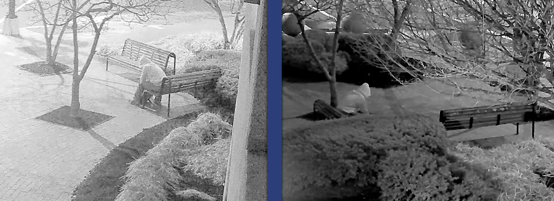 <p>FBI released new surveillance footage of suspect believed to have placed pipe bombs outside of the Democratic and Republican National Committee headquarters in Washington the night before the January 6, 2021, attack on the Capitol</p>