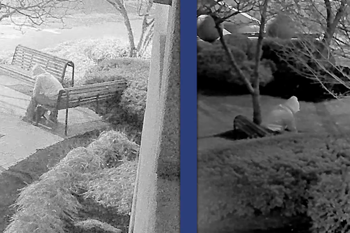 https://static.independent.co.uk/2025/10/23/12/22/Pipe-bomb-suspect-footage.png?trim=0,277,0,221&width=1200&height=800&crop=1200:800
