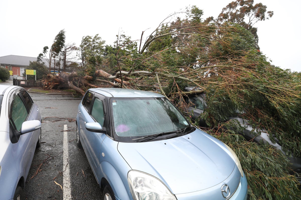 Hundreds of flights cancelled as 140mph winds hit New Zealand