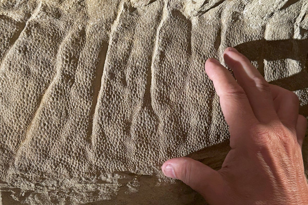 New research challenges long-held theory about dinosaurs before asteroid hit New research challenges long-held theory about dinosaurs before asteroid hit